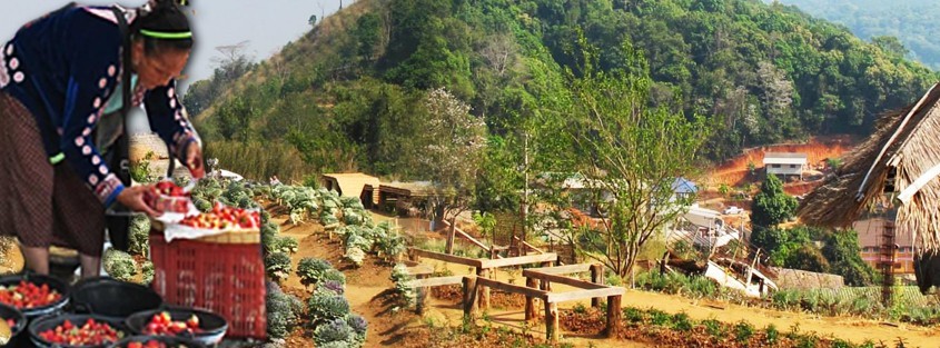 a hmong lady and village