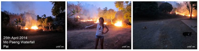 Chiang Mai on Fire - Why the North Burns... 3 a lady pointing to a fire burning at night