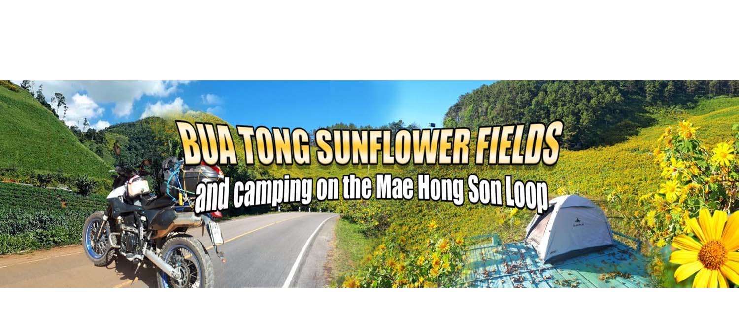 a trip report for Bua Tong Sunflower Festival. Camping tent and motorcycle.