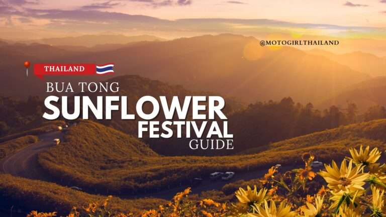 FESTIVAL GUIDE: The Stunning Bua Tong Sunflower Fields & 6 Key Attractions! 4 Bua Tong Sunflower Festival Guide