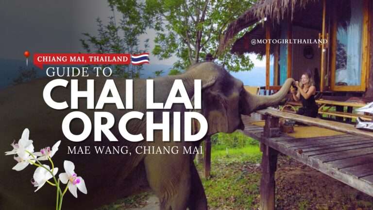 PLACE GUIDE: Magical Chai Lai Orchid 6 Chai Lai Orchid Elephants