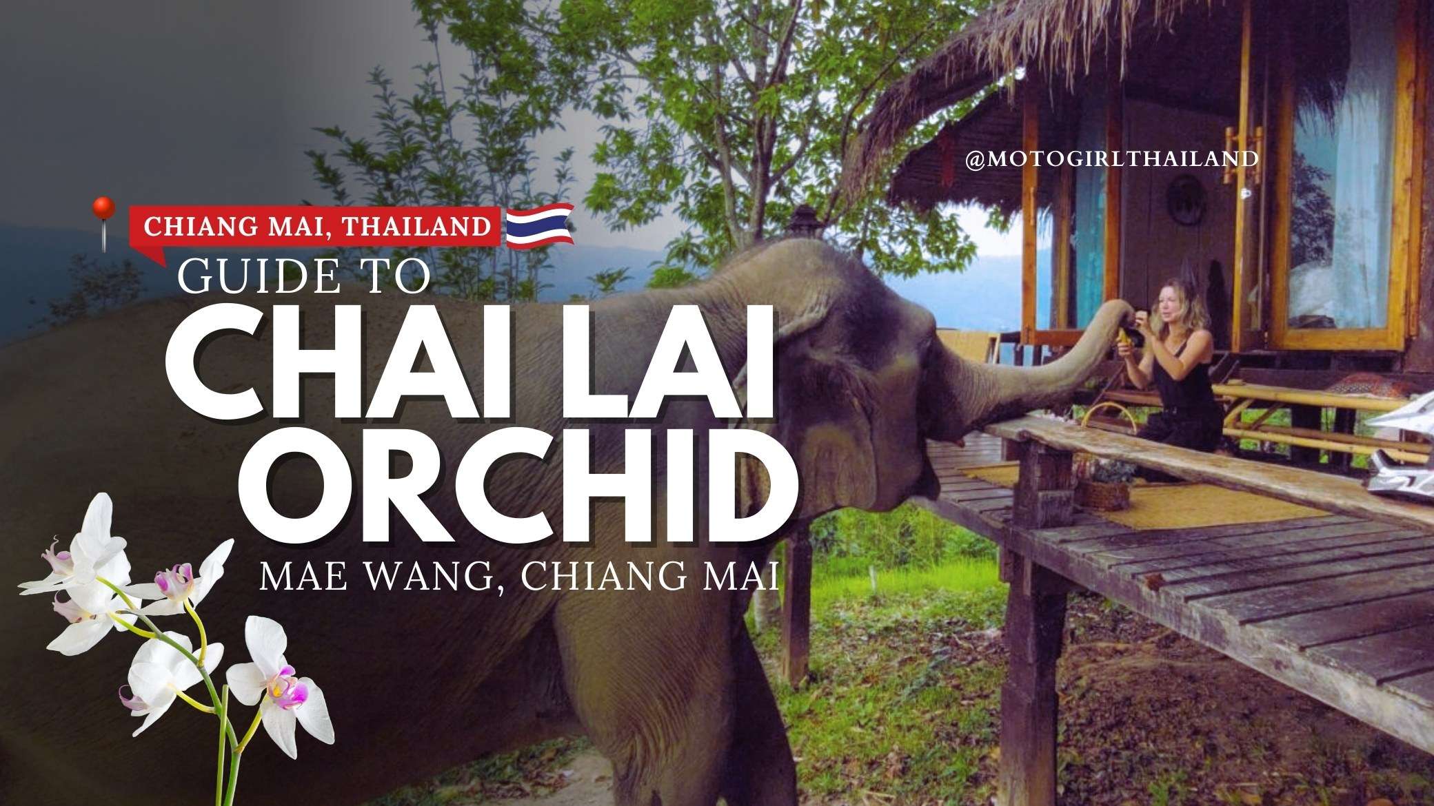 Guides 11 Chai Lai Orchid Elephants