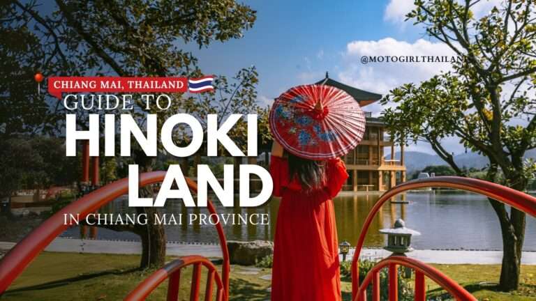 PLACE GUIDE: Stunning Hinoki Land 4 Hinoki Land Guide
